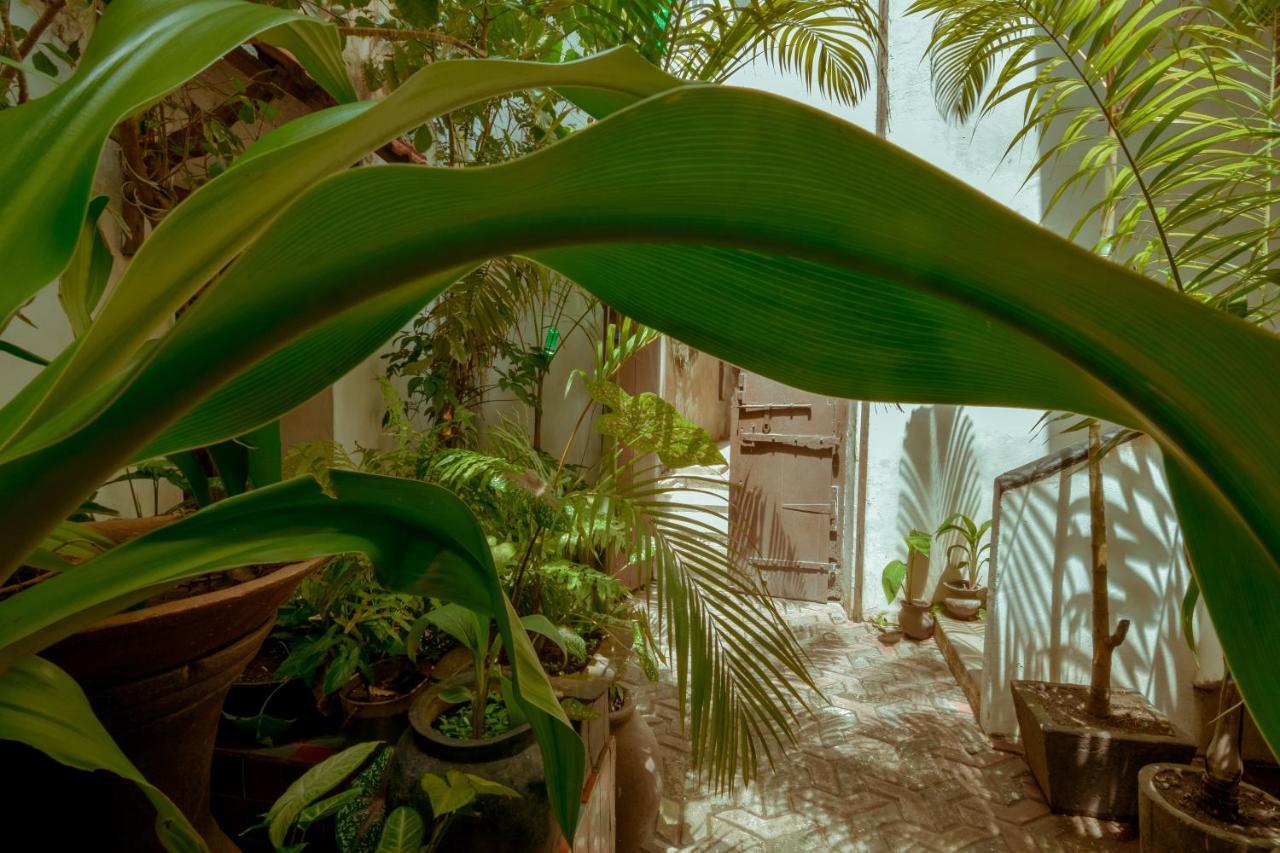 Pensión Malindi Zanzibar